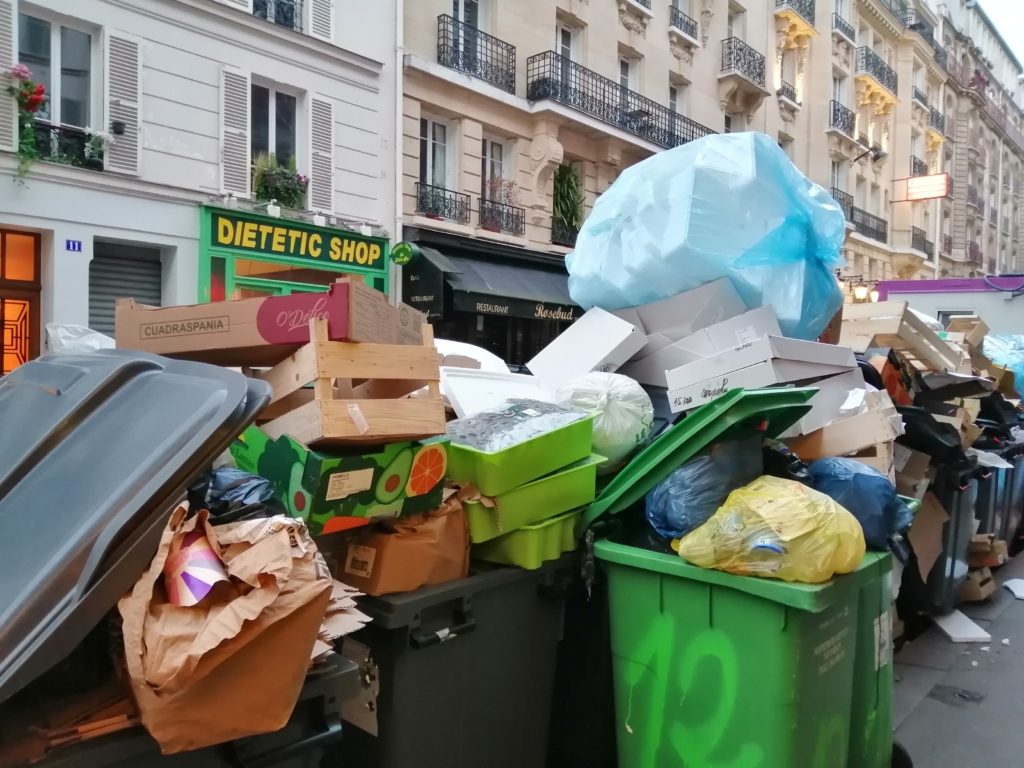 فئران باريس الجرذان بعاصمة النور