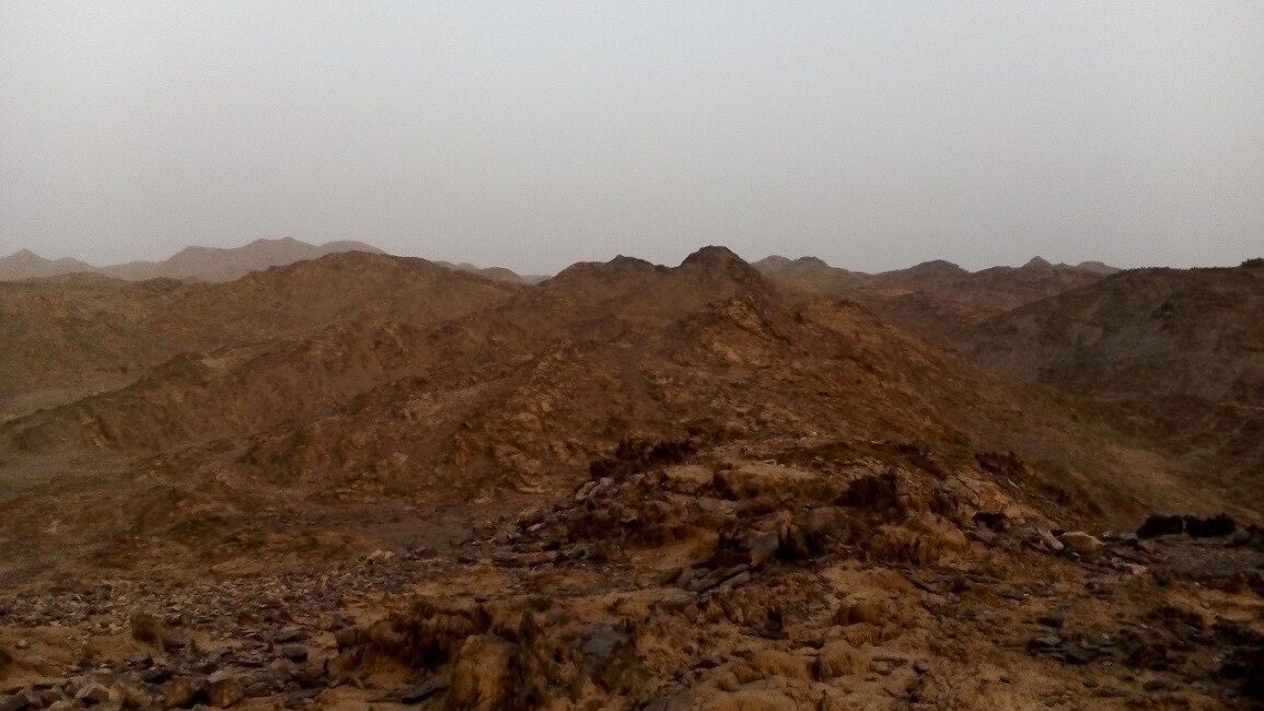 Analysis- Egyptians fleeing border