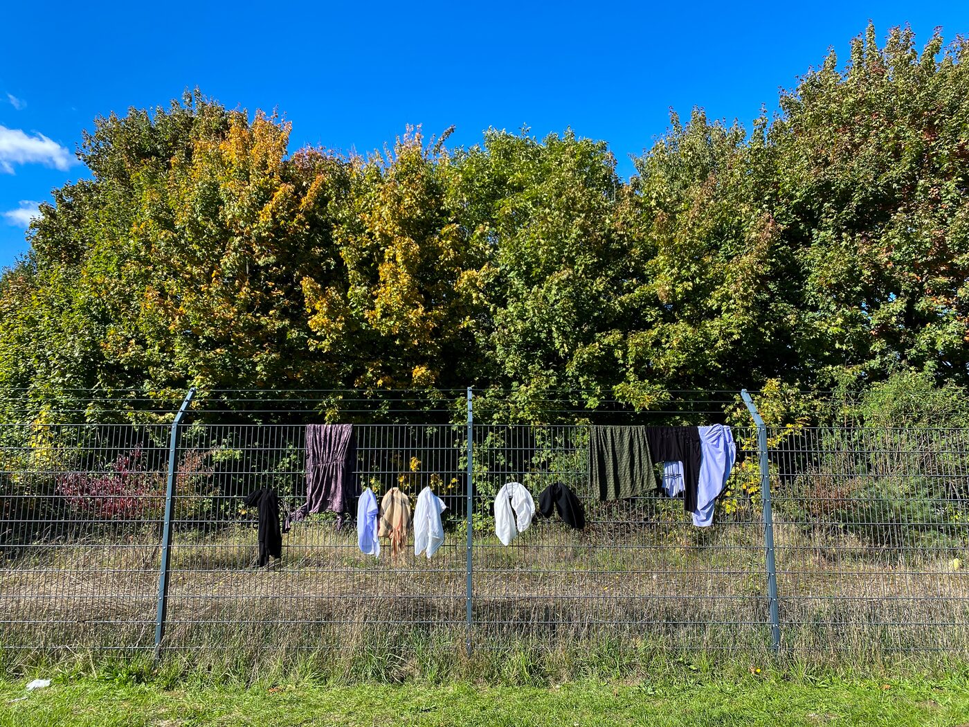 Laundry_Germany